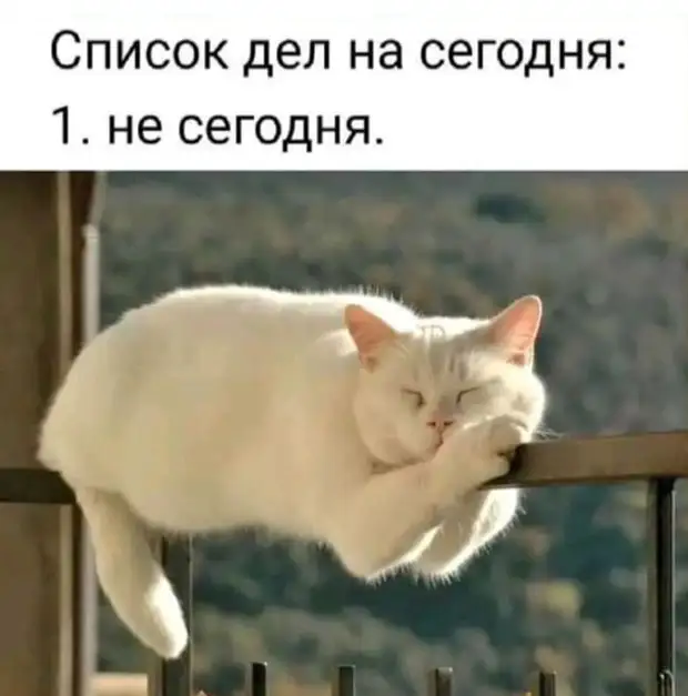 Скажи под какую музыку ты колбасишься во время уборки дома, и я скажу, из какого ты поколения Скажи под какую музыку ты колбасишься во время уборки дома, и я скажу, из какого ты поколения спрашивает, человек, очень, пятницу, опаздываю, Почему, собой, следишь, подозреваюВ, Дорогая, говорит, паразит, давай, устроим, другу, отличные, выходные, работу, Обидно, Конечно