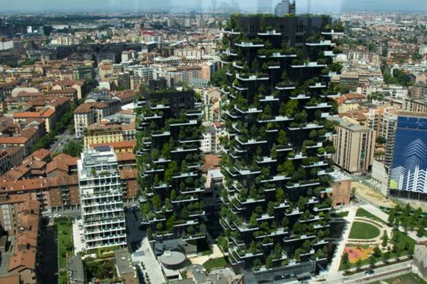 Во многих развитых странах озеленяют фасады. | Фото: realty.rbc.ru
