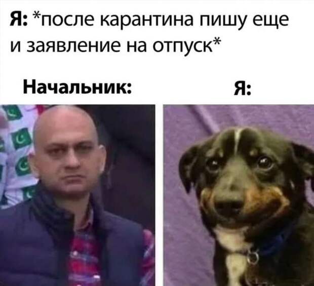 Смешные комментарии. Подборка chert-poberi-kom-chert-poberi-kom-07410623082020-6 картинка chert-poberi-kom-07410623082020-6