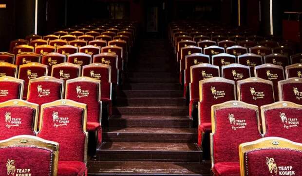 «Мосбилет» приглашает на спектакли Театра кошек Куклачева