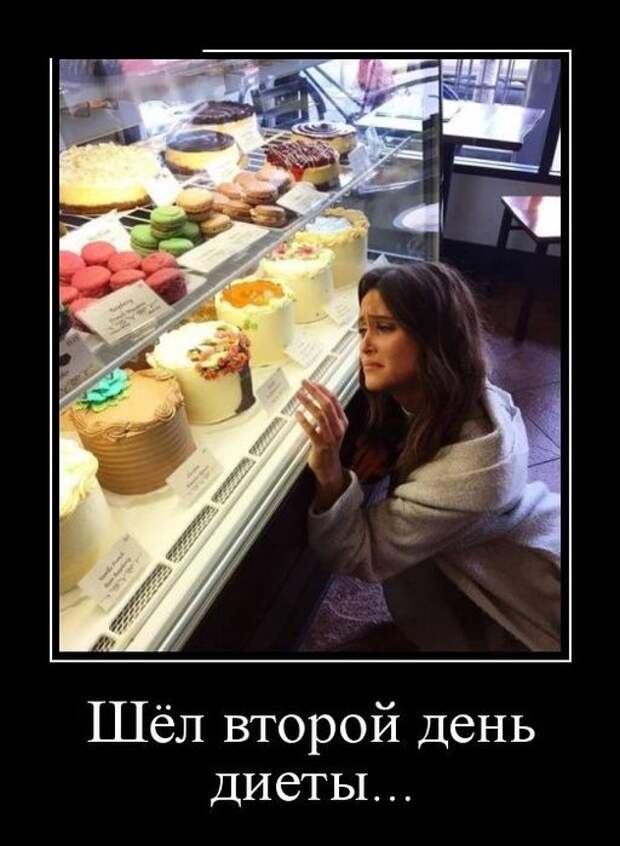 3416556_original_2 (512x700, 57Kb)