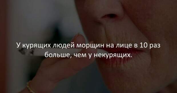 Интересные факты