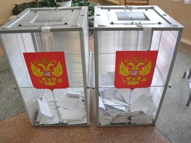 голосование