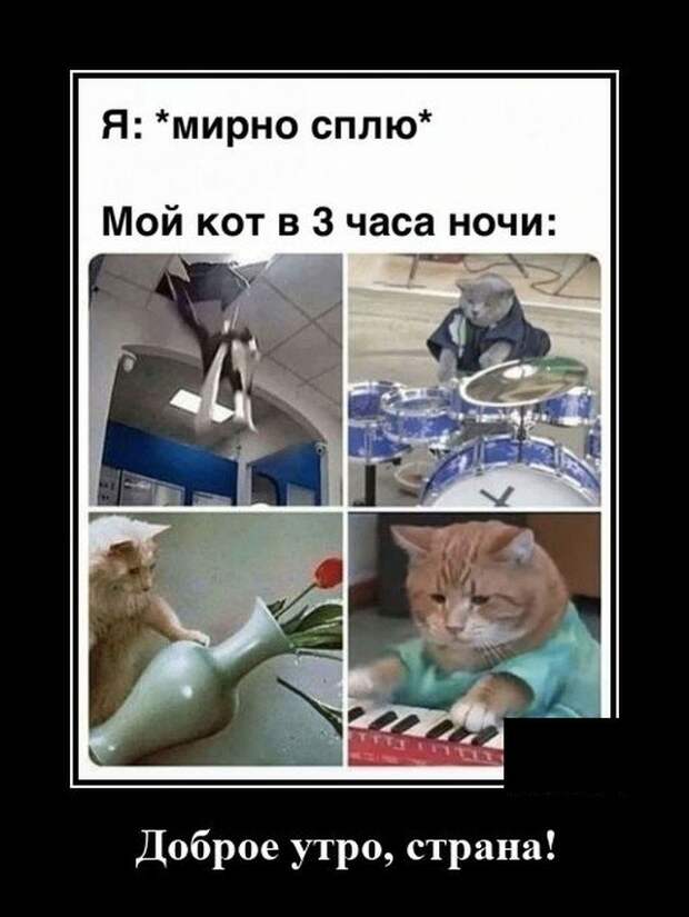 Демотиваторы Демотиваторы