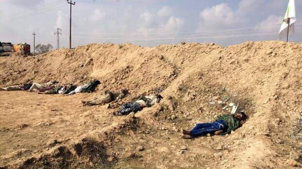 В Ираке обнаружено крупнейшее захоронение жертв ИГИЛ, - СМИ