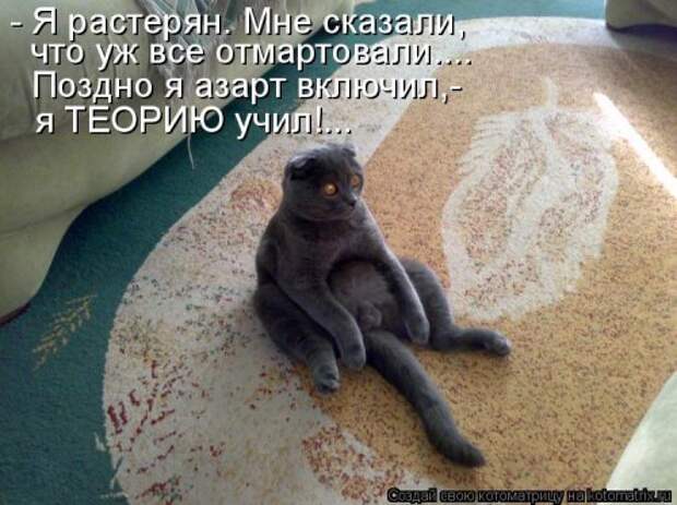 Свежая котоматрица для всех (20 шт)
