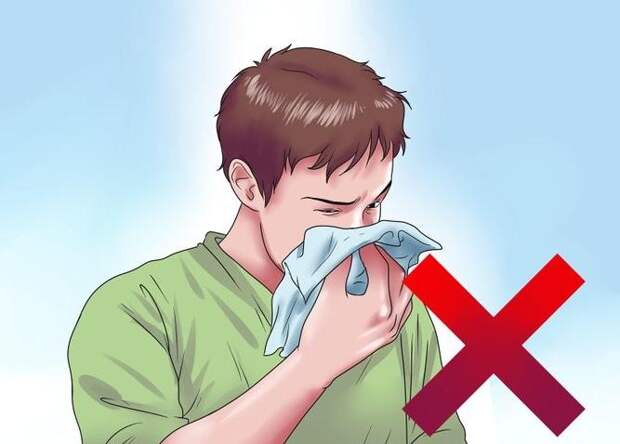 wikihow.com