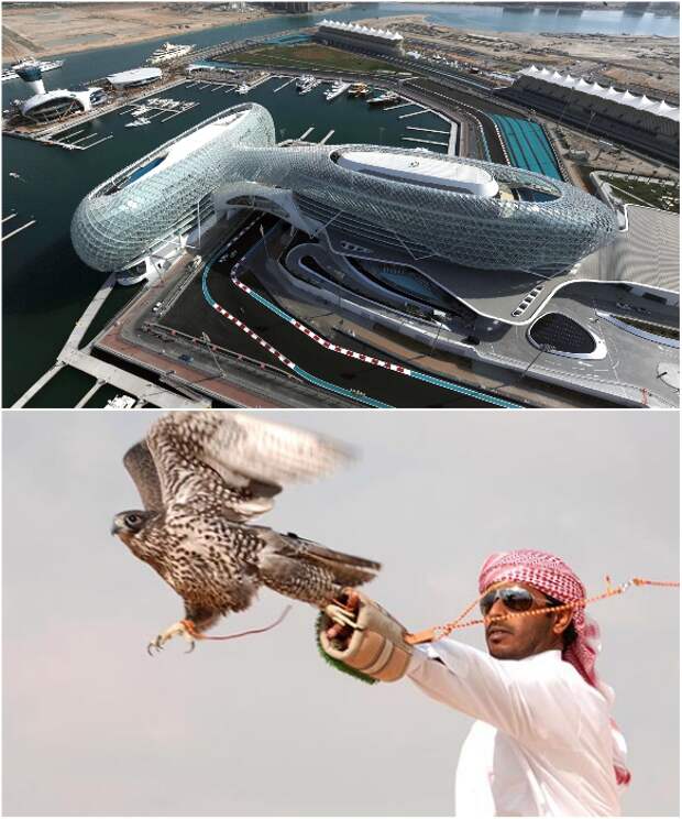 ДубаЙ за последние годы стал элитным центром спортивных состязаний. | Фото: tcc.com.ua/ visitdubai.com.