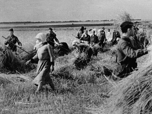 Фотографии Великой Отечественной войны 1941 года (95 фото)