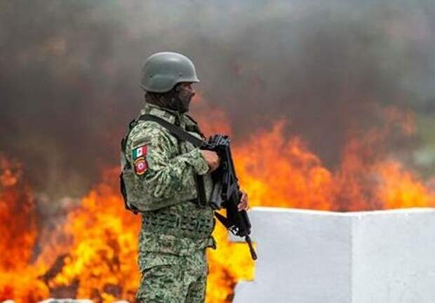 Trump Suggests Airstrikes On Cartels In Mexico, Colombia: 'Okay With Me'