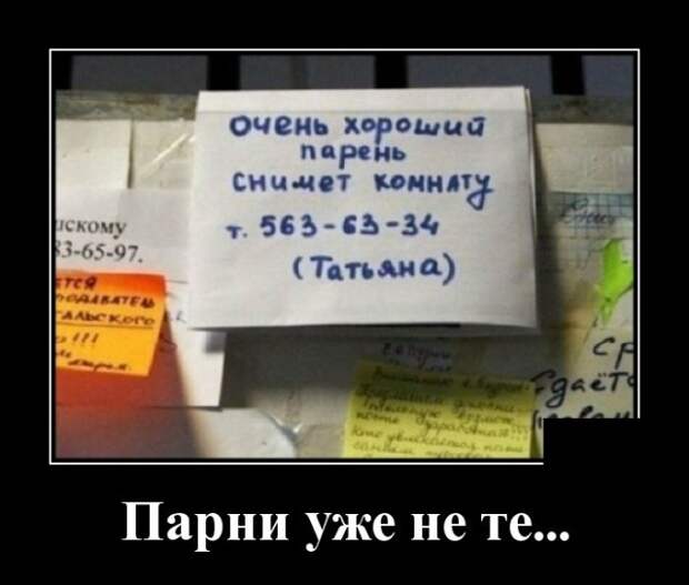 Демотиваторы (30 фото)