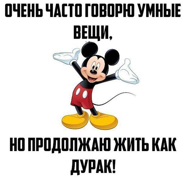 Прикольные картинки. Дневной выпуск (50 фото) Прикольные картинки. Дневной выпуск (50 фото)