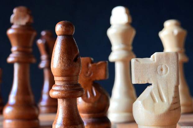 Российский шахматист выиграл Кубок мира по решению композиций