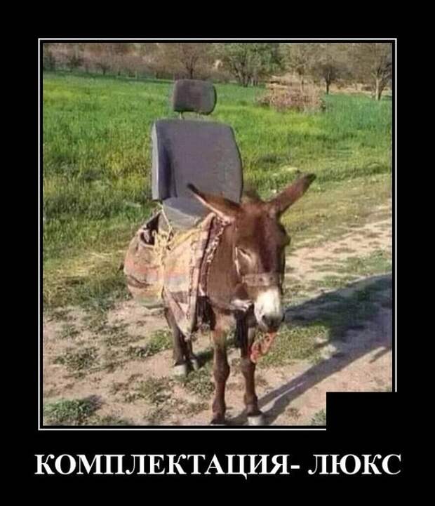 Демотиватор про комфортный транспорт