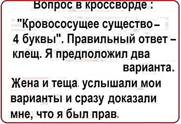 Картинки с надписями, истории и анекдоты