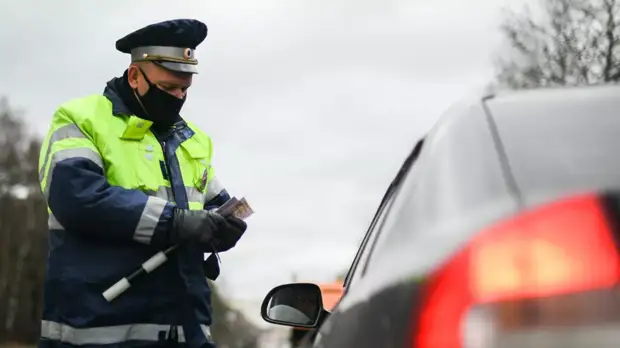 Роспотребнадзор по Ленинградской области рассказал о нарушителях режима самоизоляции