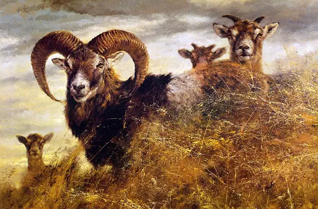 �������� ��� ���������.