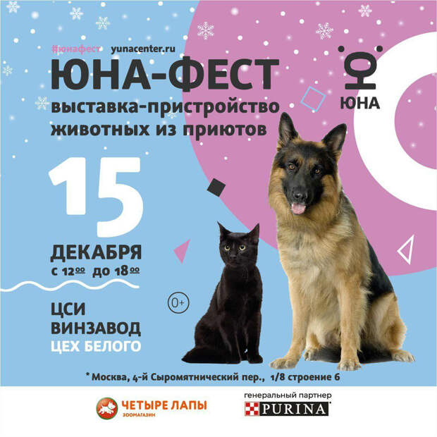 Выставка-пристройство бездомных животных из приютов пройдет в Москве 15 декабря