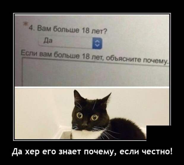 demotivatory-demotivator-smeshnye-demotivatory-demotivator-so-smyslom