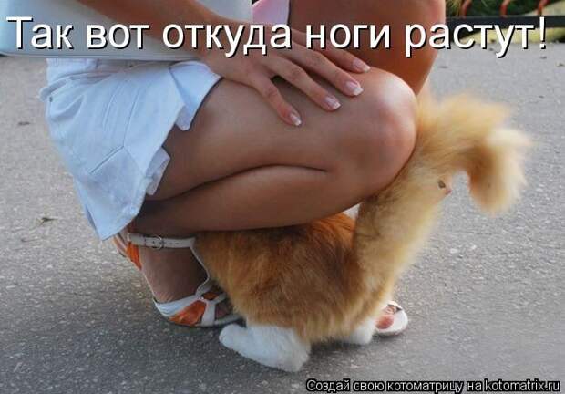 Мысли вслух :)