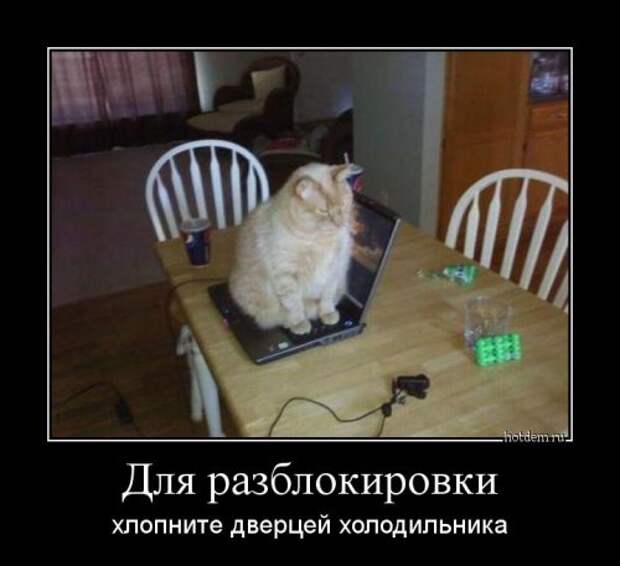 Свежие демотиваторы (19 шт)