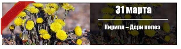 31 марта : Кирилл – Дери полоз.