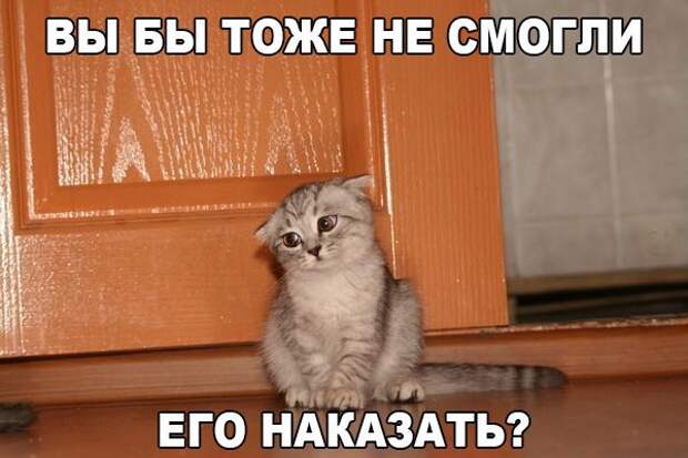 Позитивные и прикольные картинки с надписями со смыслом (11 фото) Позитивные и прикольные картинки с надписями со смыслом (11 фото)