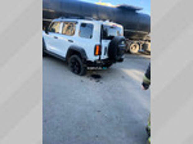 Фото: Barnaul 22