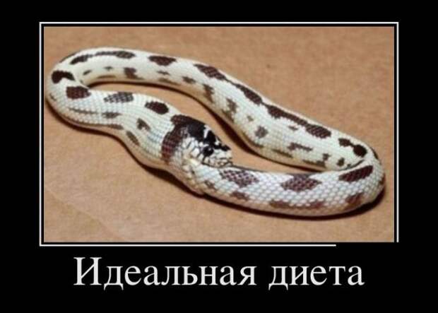 Демотиваторы - 993 Демотиваторы - 993