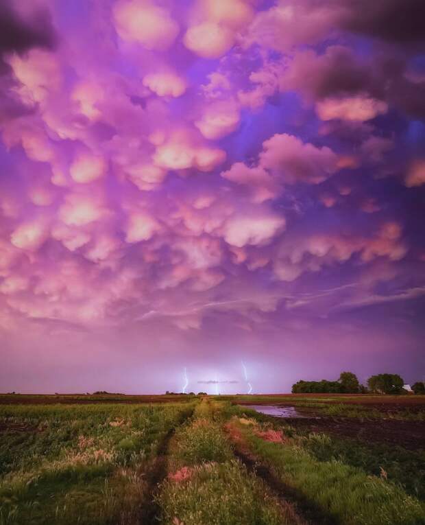 Яростные торнадо, грозы и штормы на снимках Грега Джонсона