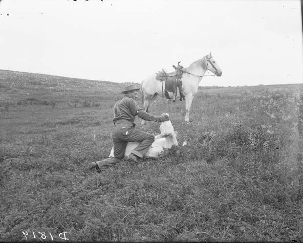 Как поднималась американская целина. Архивные фотографии пионеров Великих равнин конца 19-го века 12