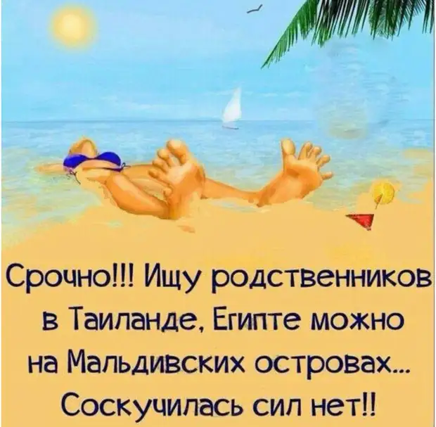 Идет мужик к цветочному магазину и бубнит : Идет мужик к цветочному магазину и бубнит :