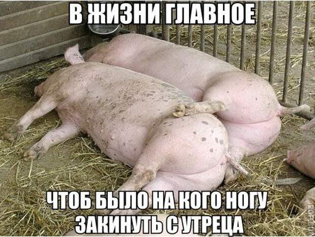 1452505296_fotomemy-15