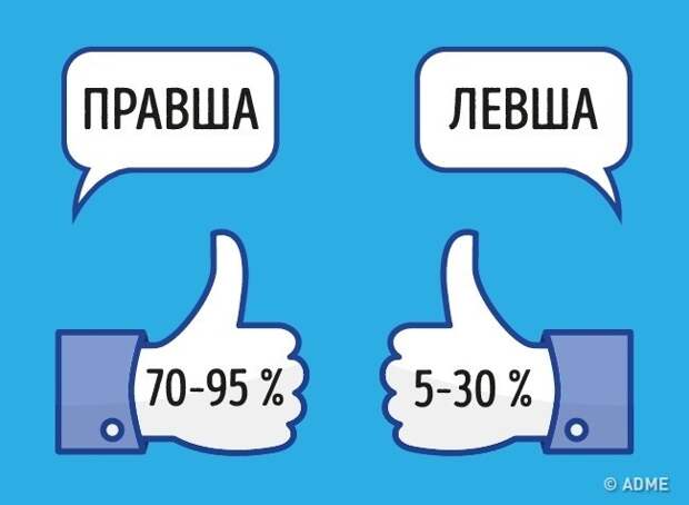 Почему люди делятся на левшей и правшей? интересное, наука, факты