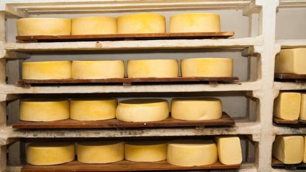 В России появится новый ГОСТ на полутвердые сыры