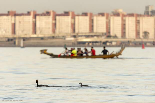 IMG_2297 (ресайз).jpg