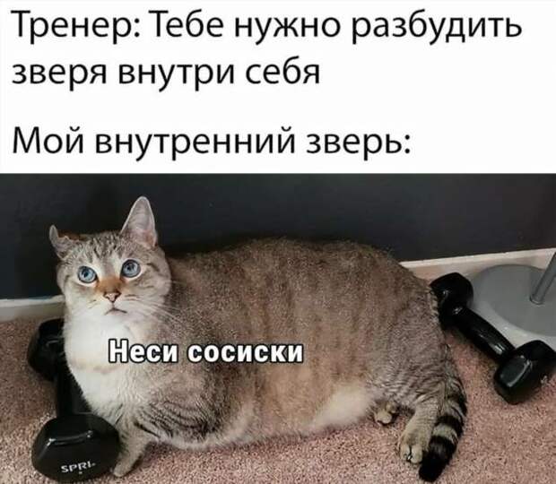 Смешные комментарии. Подборка chert-poberi-kom-chert-poberi-kom-07410623082020-13 картинка chert-poberi-kom-07410623082020-13