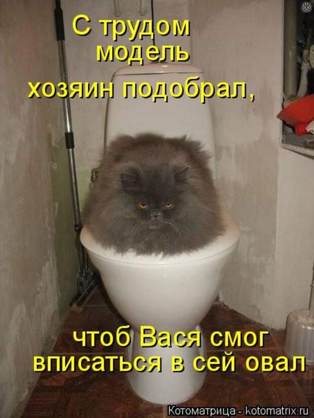Приколы в котоматрице 27