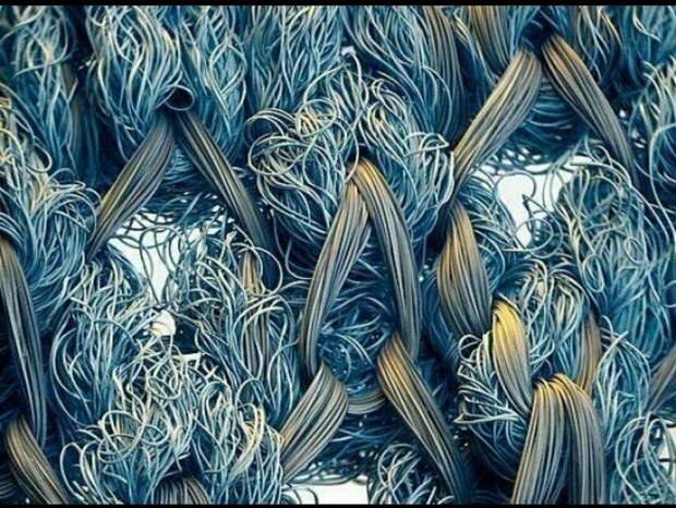 17 микрофотографий, которые покажут с новой стороны мир, что кроется у нас под носом