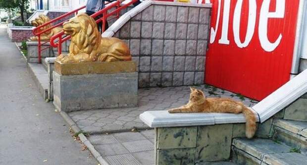 00wPT92EWcAFqs6 (700x375, 63Kb)