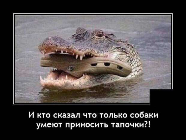 Демотиватор про крокодила