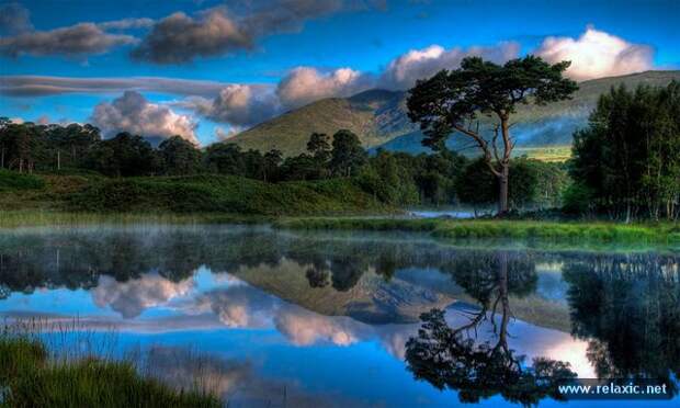 nature_022