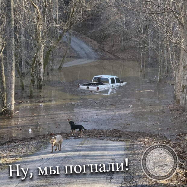 Ну, мы погнали!
