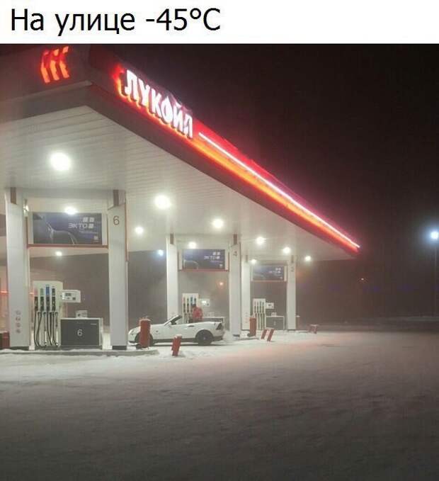 Смешные картинки с надписями прикол, юмор