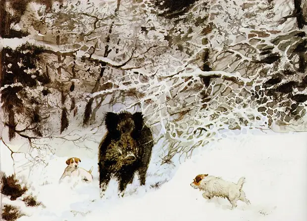 �������� ��� ���������.