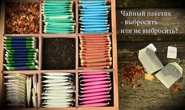 Чайный пакетик - выбросить или не выбросить?