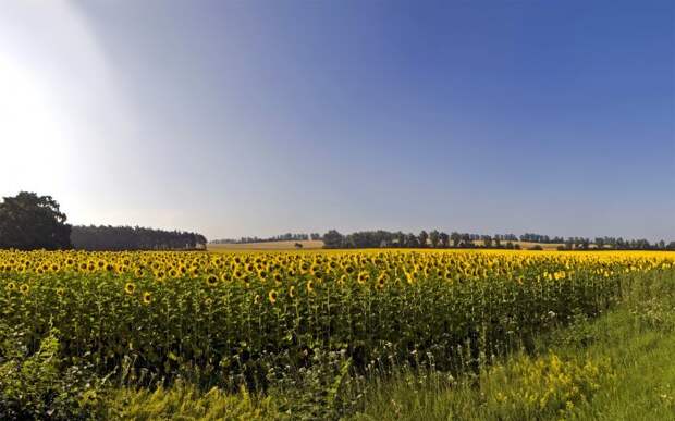 Красиві пейзажі