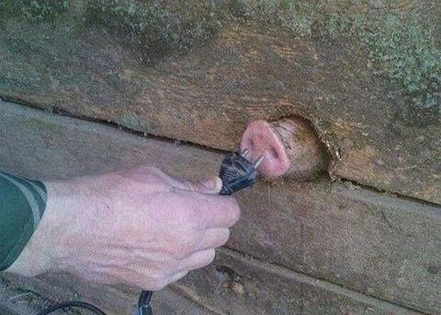 Необъяснимые фотографии Необъяснимые фотографии