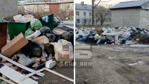 Крысы, собаки и бомжи. В Барнауле пожаловались на переполненную мусором площадку