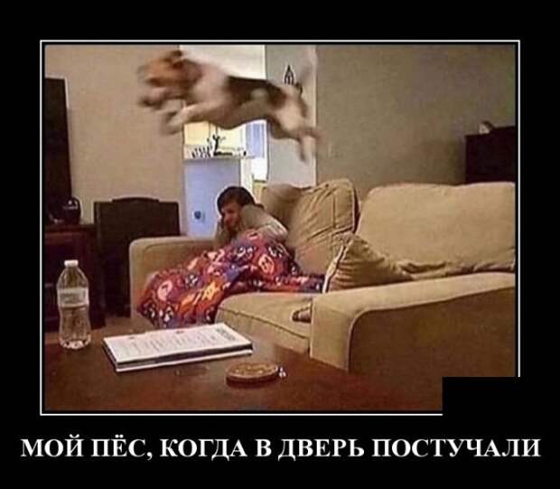 Демотиваторы (30 фото)